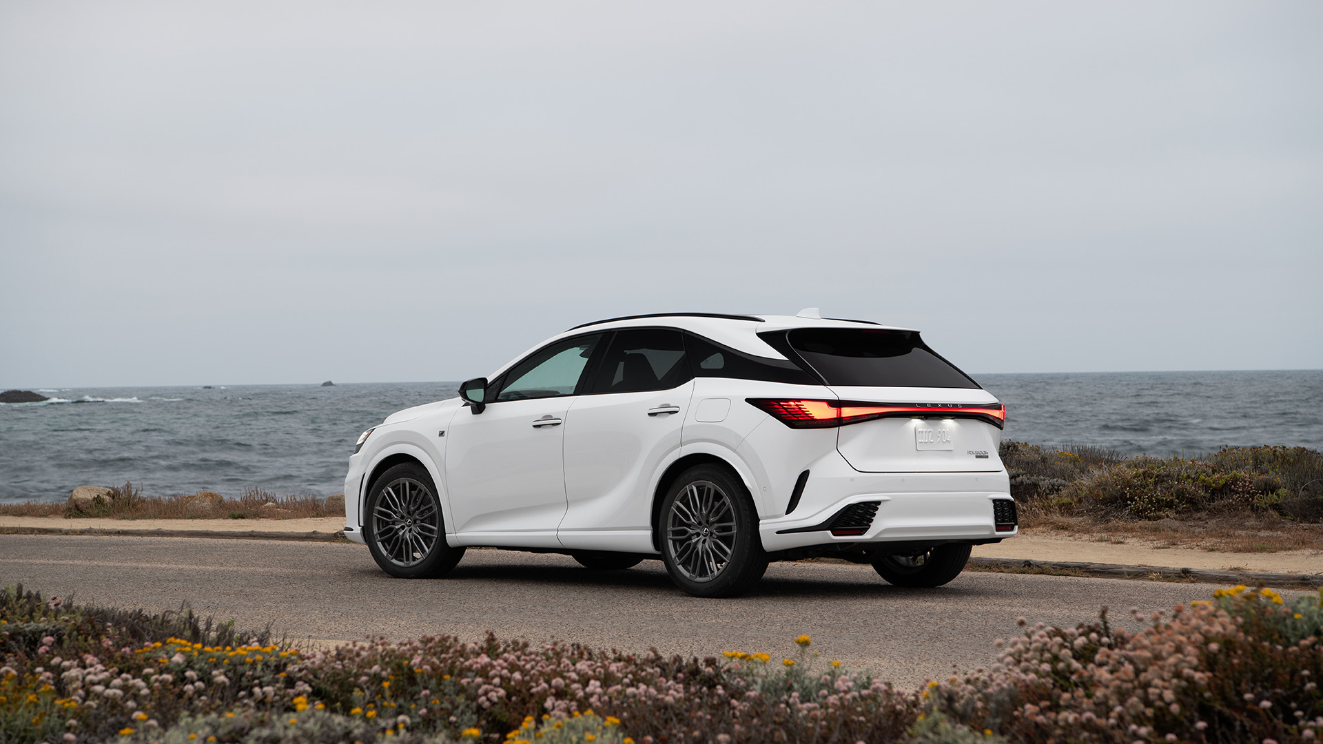 The rear of a White 2023 Lexus RX. 